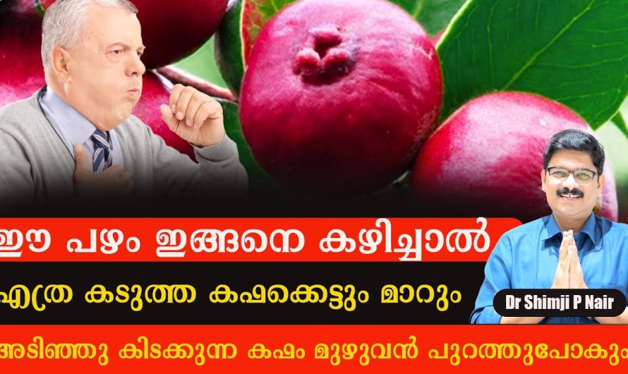 എത്ര കടുത്ത കഫക്കെട്ടും മാറി കിട്ടും ഈ പഴം ഇങ്ങനെ കഴിച്ചാൽ!