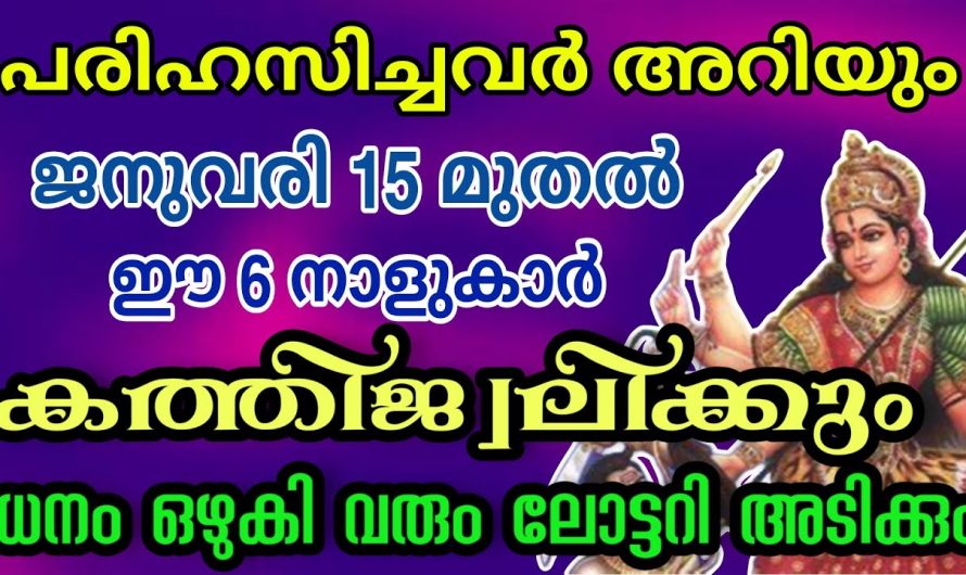 ഇനി തോൽവി ഇല്ല , ഈ നാളുകാർക്ക് നേട്ടത്തിന്റെ കാലം !!