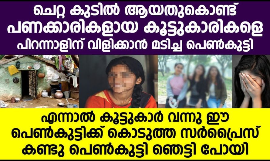 പാവപ്പെട്ട വീട്ടിലെ കുട്ടിക്ക് പണക്കാരികളായ കൂട്ടുകാരികൾ പിറന്നാളിന് കൊടുത്ത സർപ്രൈസ് കണ്ടോ!