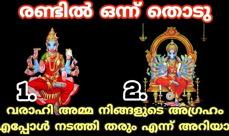 വരാഹിദേവി പറയും നിങ്ങളെ തേടിയെത്തുന്ന സൗഭാഗ്യങ്ങളെക്കുറിച്ച് തൊടുകുറി ശാസ്ത്രം