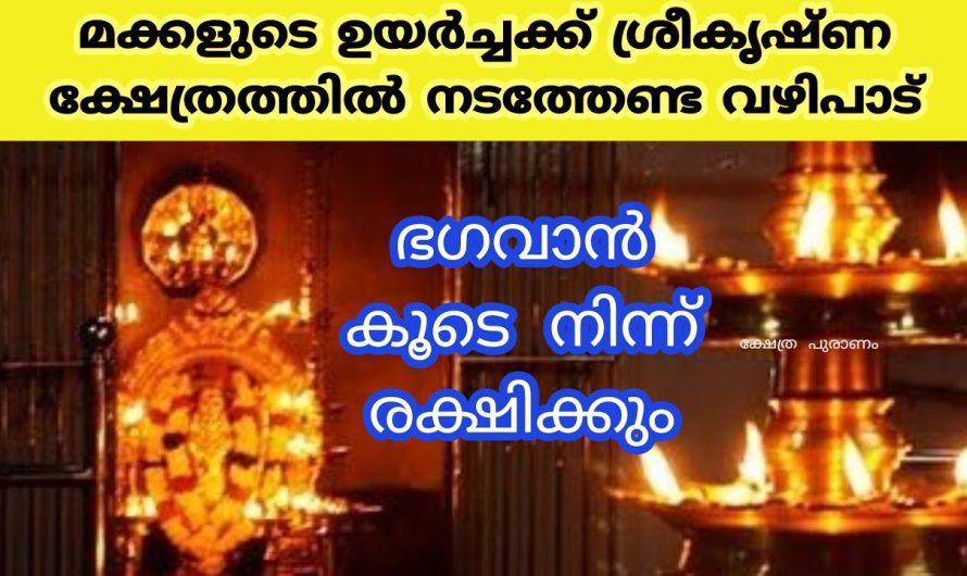 ശ്രീകൃഷ്ണ ക്ഷേത്രത്തിൽ ഈ വഴിപാട് ചെയ്താൽ എത്ര ദുരന്തത്തിൽ നിന്നും കരകയറും