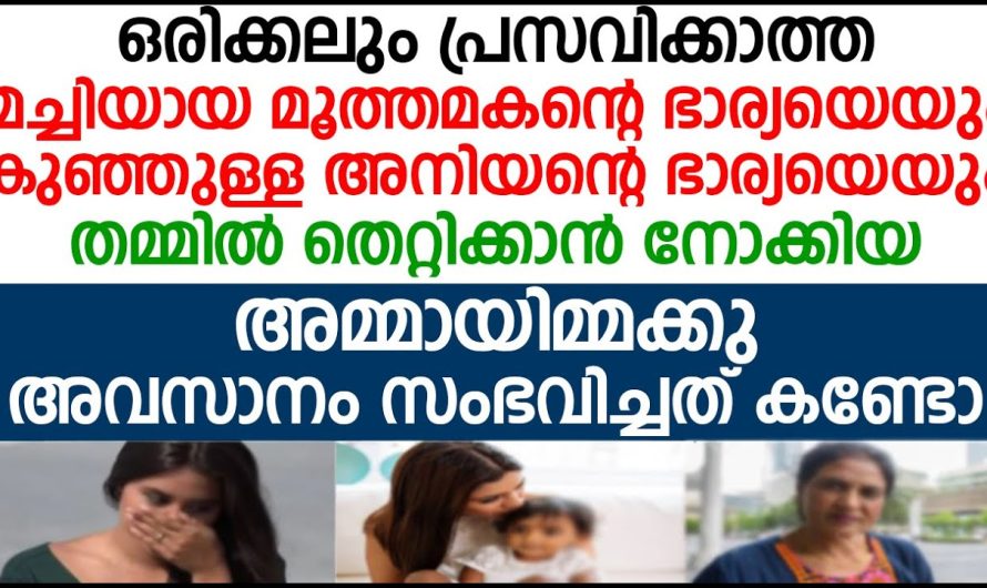 മരുമക്കളെ  തമ്മിൽ തെറ്റിക്കാൻ നോക്കിയ അമ്മായിക്ക്‌ അവസാനo സംഭവിച്ചത് കണ്ടോ!