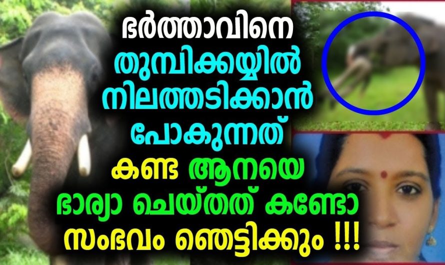 ഇരട്ട ചങ്കുള്ള ഭാര്യാ അതിൽ കുറഞ്ഞൊരു വിശേഷണമില്ല