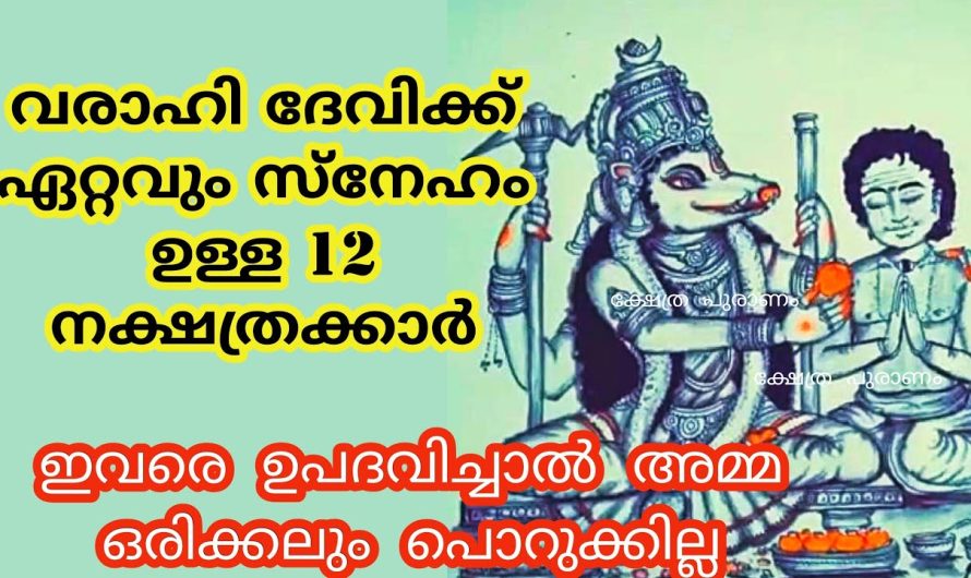 വരാഹിദേവിയുടെ അനുഗ്രഹം ജനനം മുതൽ ഉള്ള 12 നക്ഷത്രക്കാർ