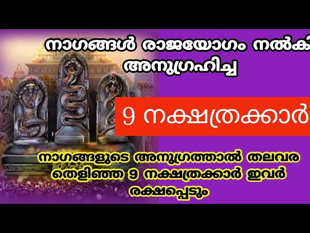 2024 ൽ നാഗങ്ങളുടെ അനുഗ്രഹത്താൽ രാജയോഗം അനുഭവിക്കാൻ പോകുന്ന നക്ഷത്രക്കാർ!