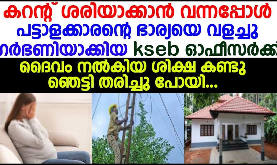 പട്ടാളക്കാരന്റെ ഭാര്യയെ വളച്ചു ഗർഭിണിയാക്കിയ KSEB ഓഫീസർക്ക് സംഭവിച്ചത്!