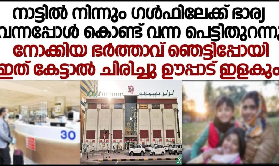 നാട്ടിൽ നിന്നും ഗൾഫിലേക്ക് ഭാര്യയെ കൊണ്ടുവന്നപ്പോൾ കൊണ്ടുവന്ന പെട്ടി തുറന്ന ഭർത്താവ് ഞെട്ടിപ്പോയി!