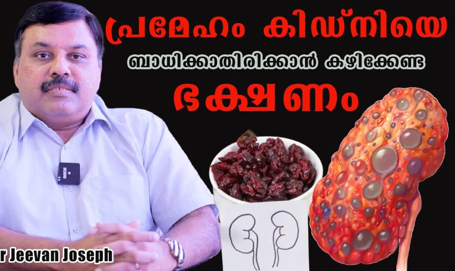 പ്രമേഹത്തിനു മരുന്ന് കഴിക്കുന്നവർ ശ്രദ്ധിക്കുക കിഡ്‌നിയെ ബാധിക്കാതിരിക്കാൻ കഴിക്കേണ്ട ഭക്ഷണം