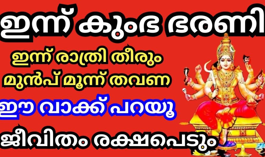 ഇന്ന് സന്ധ്യക്ക് വീട്ടിൽ വിളക്ക് വെക്കുമ്പോൾ ഈ പൂവ് വെക്കാൻ മറക്കല്ലേ,വീട് രക്ഷപെടും