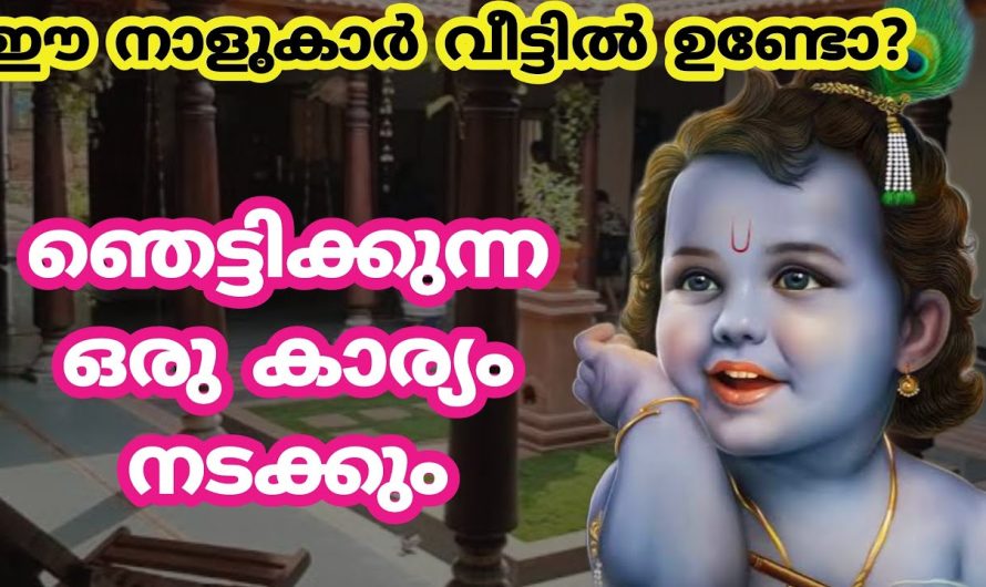 ഈ നാളുകാർ വീട്ടിൽ ഉണ്ടോ?ഞെട്ടിക്കുന്ന ഒരു കാര്യം നടക്കും