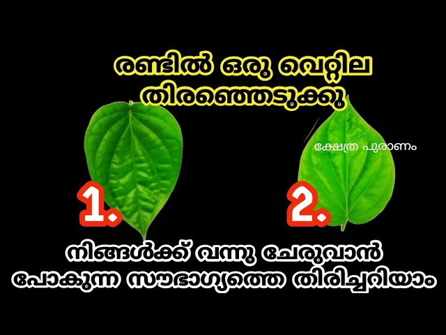 രണ്ടിൽ ഒന്നു തൊടു നിങ്ങൾക്ക് വന്നു ചേരുവാൻ പോകുന്ന സൗഭാഗ്യത്തെ തിരിച്ചറിയാം