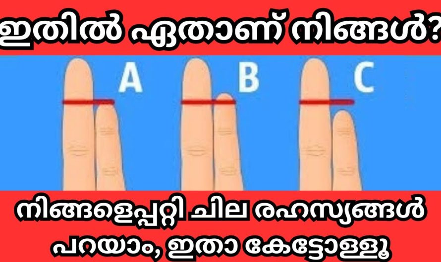 ഇതിൽ ഏതാണ് നിങ്ങളുടെ കൈ? നോക്കിക്കേ…. നിങ്ങളെപ്പറ്റി ചില രഹസ്യങ്ങൾ പറയാം