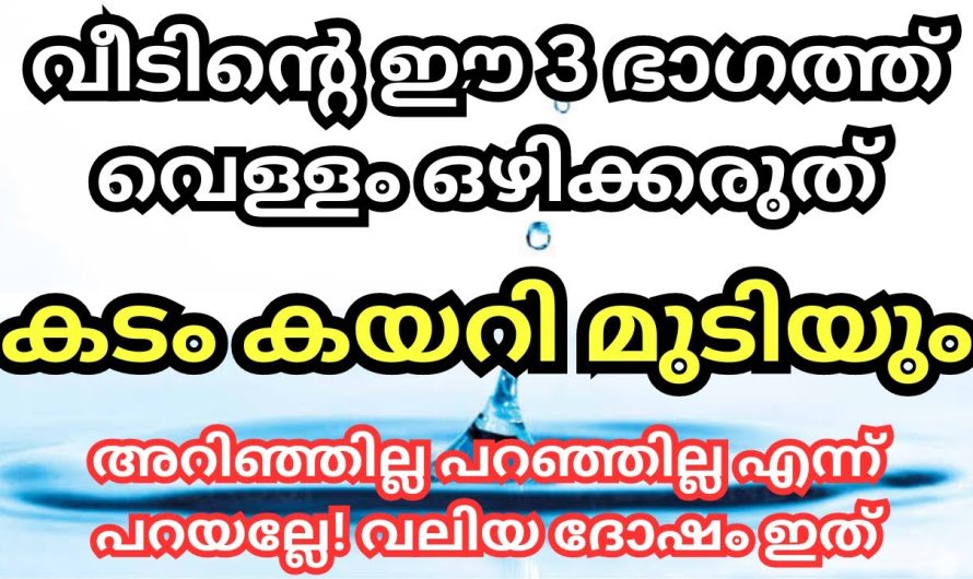 വീടിന്റെ ഈ 3 ഭാഗങ്ങളിൽ വെള്ളം ഒഴിക്കരുത്, കടം കയറി മുടിയും,പറഞ്ഞില്ല എന്ന് പറയല്ലേ