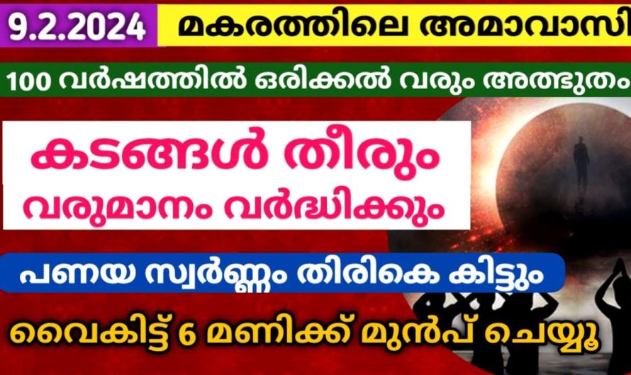 മകരത്തിലെ അമാവാസി ദിവസം ഈ 1 കാര്യം ചെയ്യൂ കടം തീരും വരുമാനം വർദ്ധിക്കും