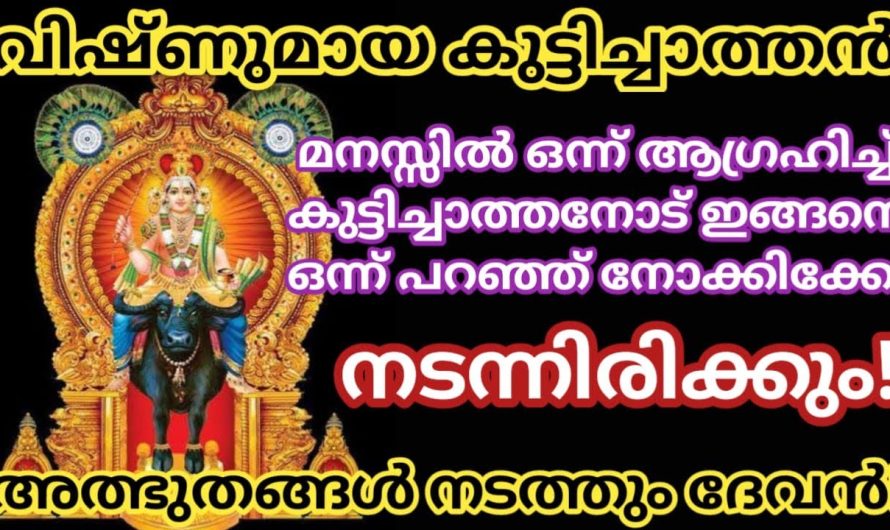 വിഷ്ണുമായ കുട്ടിച്ചാത്തനോട് ഇങ്ങനെ പ്രാർത്ഥിച്ച് നോക്കൂ അത്ഭുതം നടക്കും ജീവിതത്തിൽ!