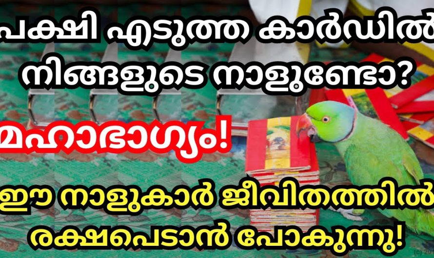 മഹാഭാഗ്യം തേടി വരാൻ പോകുന്ന നാളുകാർ ഒന്നു കേട്ടുനോക്കൂ