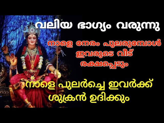 നാളെ പുലരുമ്പോൾ ഇവരുടെ ഉച്ചിയിൽ ശുക്രൻ ഉദിക്കും