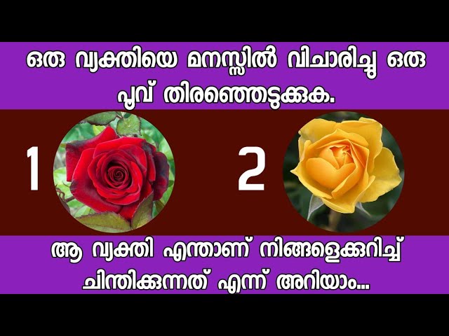 മനസ്സിൽ ഒരാളെ ഓർത്തു ഒരു ചിത്രം തിരഞ്ഞെടുക്കൂ.