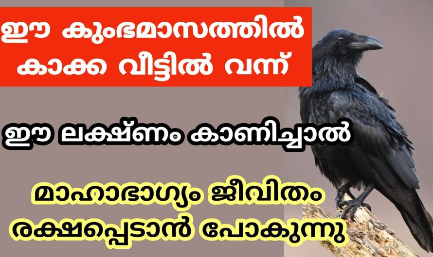 കുംഭമാസത്തിൽ കാക്ക വീട്ടിൽ വന്ന് ഈ ലക്ഷ്ണം കാണിച്ചാൽമാഹാഭാഗ്യം