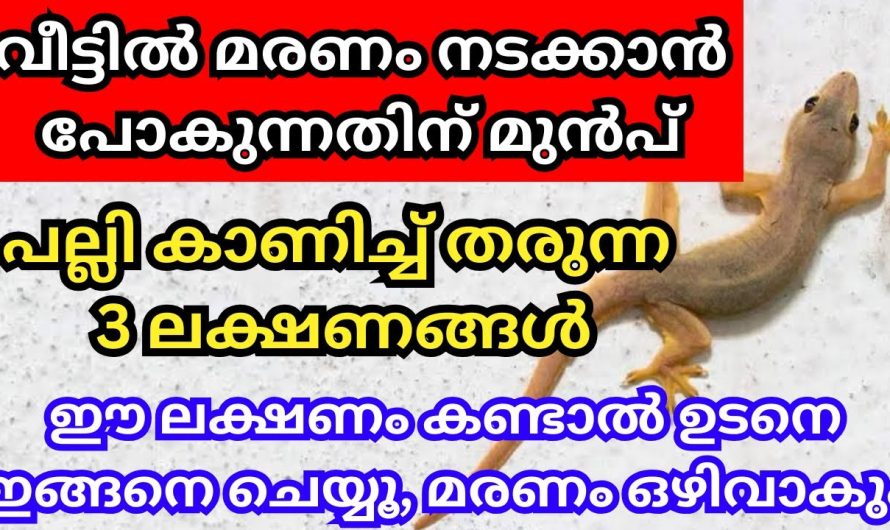 വീട്ടിൽ മരണം നടക്കാൻ പോകും മുൻപ് പല്ലി കാണിച്ച് തരുന്ന 3 സൂചനകൾ