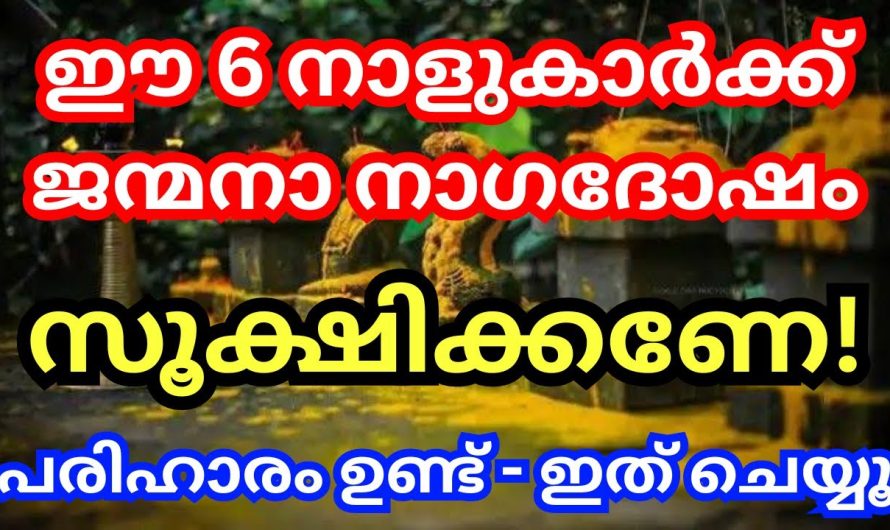 ഈ 6 നാളുകാർക്ക് ജന്മനാ നാഗദോഷം, സൂക്ഷിക്കണേ – പരിഹാരം ഉണ്ട്,