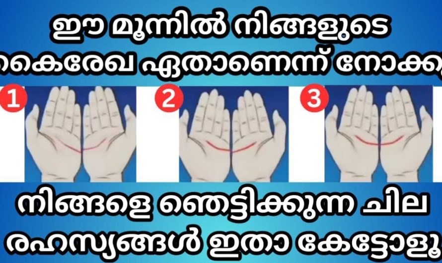 ഈ മൂന്ന് കൈകളിൽ നിങ്ങളുടെ ഹൃദയ രേഖ ഏതാണെന്ന് നോക്കൂ,നിങ്ങളെ പറ്റി ചില രഹസ്യങ്ങൾ പറയാം