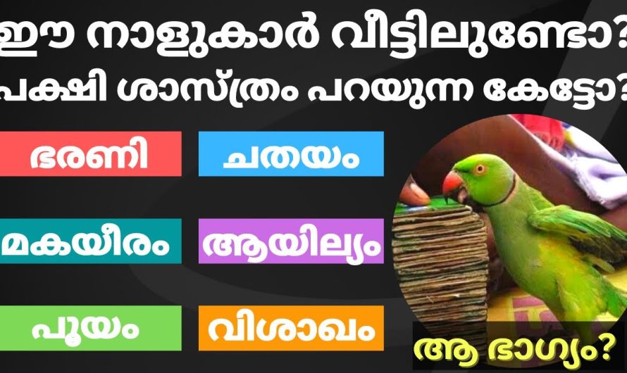 പക്ഷിശാസ്ത്രം പറയുന്നത് കേട്ട് നോക്കൂ – ഈ 6 നാളുകാർ വീട്ടിൽ ഉണ്ടെങ്കിൽ മഹാസൗഭാഗ്യം