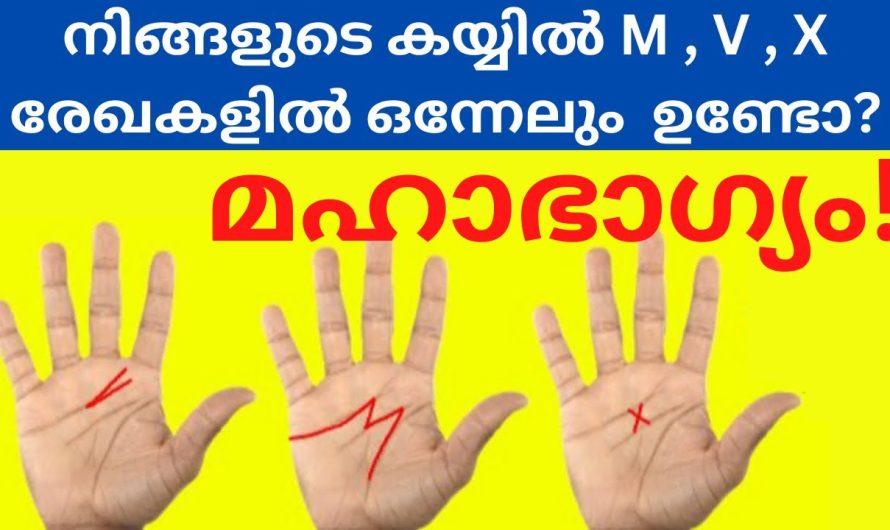 നിങ്ങളുടെ കയ്യിൽ ഈ രേഖകൾ ഉണ്ടോ?? എങ്കിൽ മഹാഭാഗ്യം ഹസ്തരേഖാശാസ്ത്രം