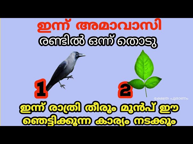 രണ്ടിൽ ഒന്ന് തൊടു ഇന്ന് രാത്രി തീരും മുൻപ് ഈ ഞെട്ടിക്കുന്ന കാര്യം നടക്കും.