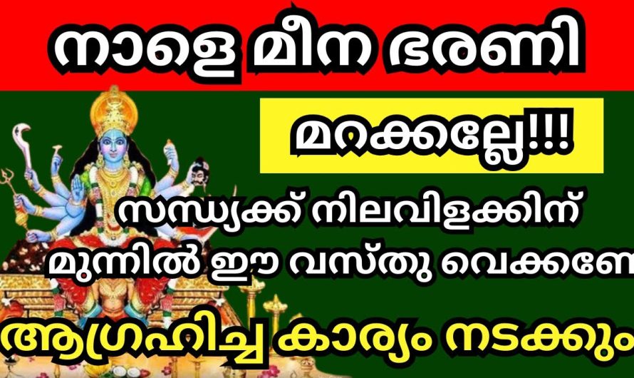 മീനഭരണി ഇങ്ങ് എത്തി, ഇത് ചെയ്യൂ, അപൂർവ അവസരം ഇത്,