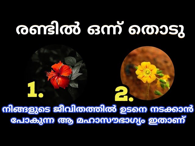 നിങ്ങളുടെ ജീവിതത്തിൽ ഉടനെ നടക്കാൻ പോകുന്ന ആ മഹാസൗഭാഗ്യം ഇതാണ്