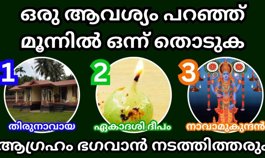 ഇന്ന് ആംല ഏകാദശി, ഭഗവാനോട് ഒരു കാര്യം പറഞ്ഞ് കൊണ്ട് ഒരു ചിത്രം എടുക്കു