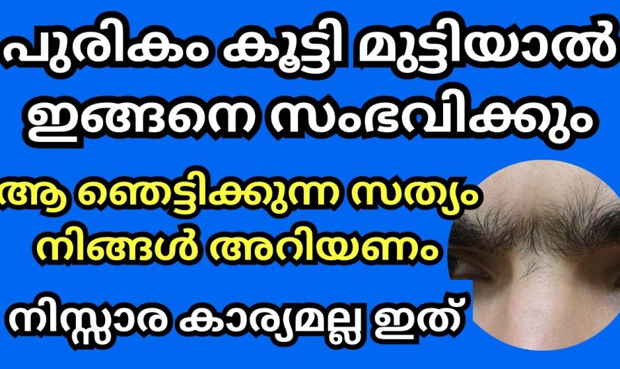 പുരികം കൂട്ടി മുട്ടിയവർ നിങ്ങളുടെ വീട്ടിലുണ്ടോ? ഈ വലിയ സത്യം നിങ്ങളെ തേടിയെത്തും