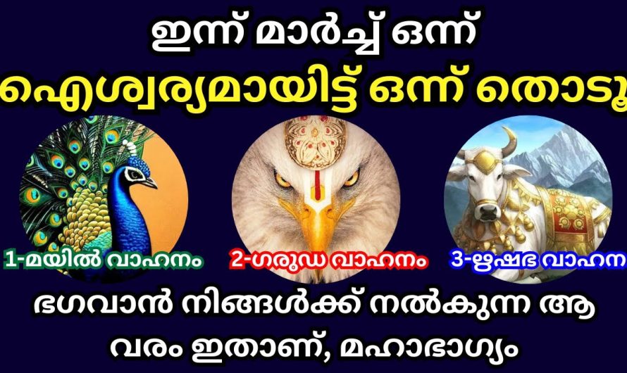 ഇന്ന് മാർച്ച് ഒന്ന് ഭഗവാൻ നിങ്ങൾക്ക് നൽകുന്ന വരം ഇതാണ്, മഹാഭാഗ്യം