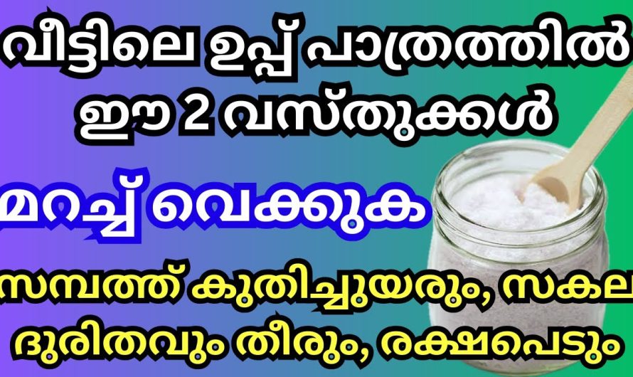 വീട്ടിലെ ഉപ്പ് പാത്രത്തിൽ ഈ 2 വസ്തുക്കൾ മറച്ച് വെക്കുക,കടങ്ങൾ തീരും,സമ്പത്ത് നിറയും