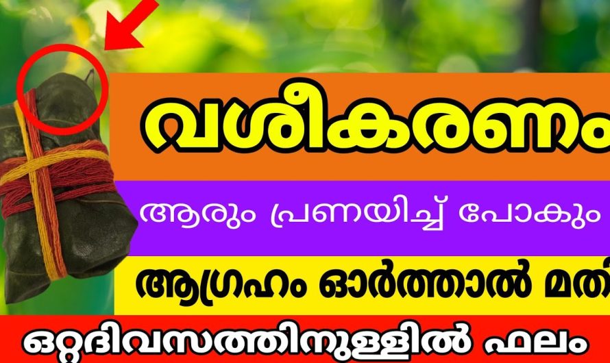 സ്ത്രി_ പുരുഷവശ്യം അതിശക്തിയേറിയ ഒരു വശീകരണം