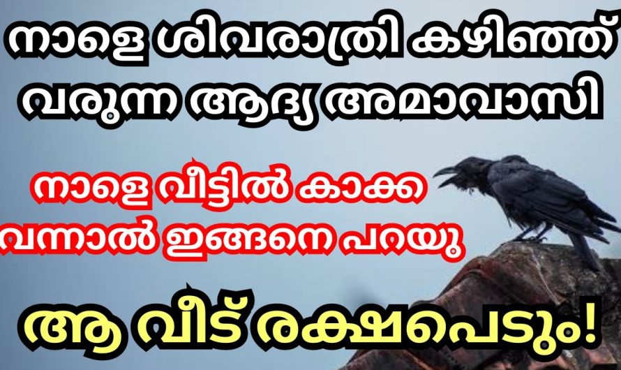 വിഷമിക്കേണ്ടി വരും, വിട്ട് കളയല്ലേ ഈ അമാവാസി രാത്രി