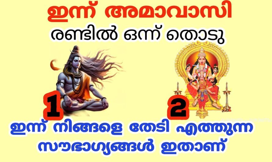 രണ്ടിൽ ഒന്ന് തൊടു ഈ സൗഭാഗ്യങ്ങൾ നിങ്ങളെ തേടി എത്തും