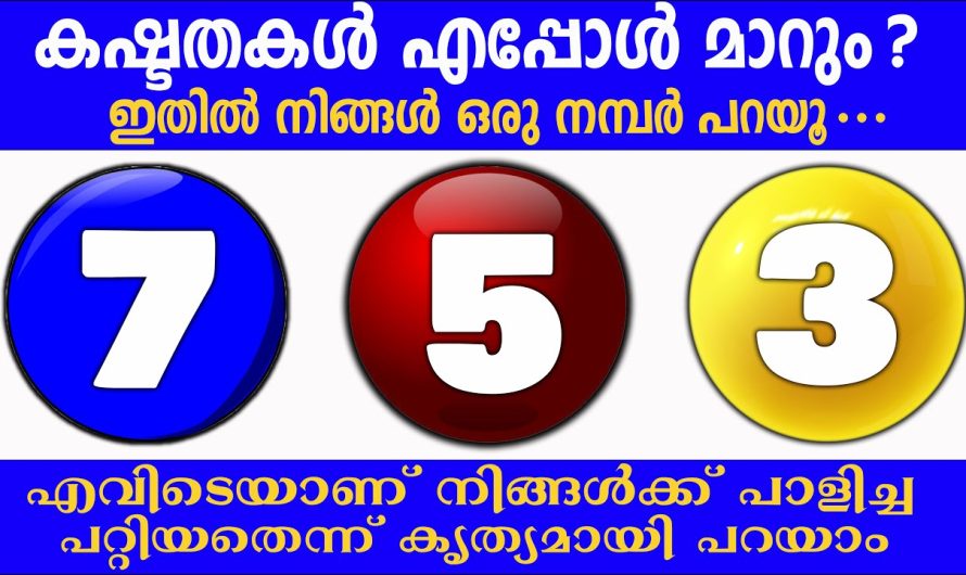 നിങ്ങളെക്കുറിച്ച് ഒരു അതീവ രഹസ്യം പറയാം ഒരു നമ്പർ തൊടു