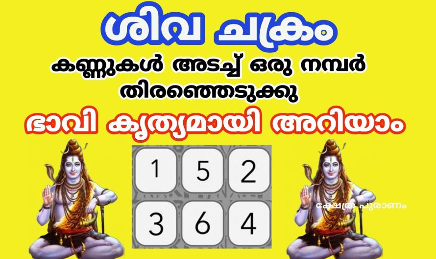 വരാൻ പോകുന്ന സൗഭാഗ്യങ്ങൾ നിങ്ങളുടെ ഉയർച്ച എപ്പോൾ? ശിവ ചക്രം പറയും