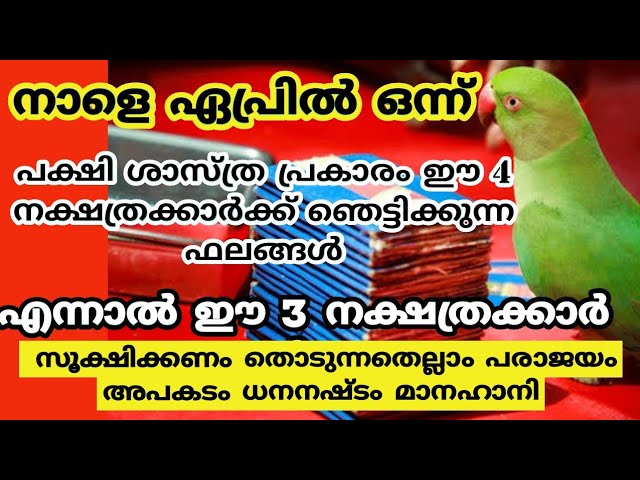 പക്ഷി  എടുത്ത കാർഡിൽ നിങ്ങളുടെ നാളുണ്ടോ? രാജയോഗം ആരംഭിച്ചു