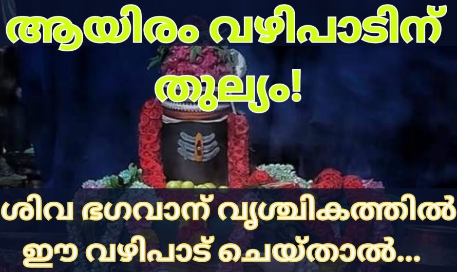 ശിവ ഭഗവാന് ഈ വഴിപാട് കഴിച്ചാൽ ആയിരം ശിവ പൂജ ചെയ്യുന്ന ഫലം