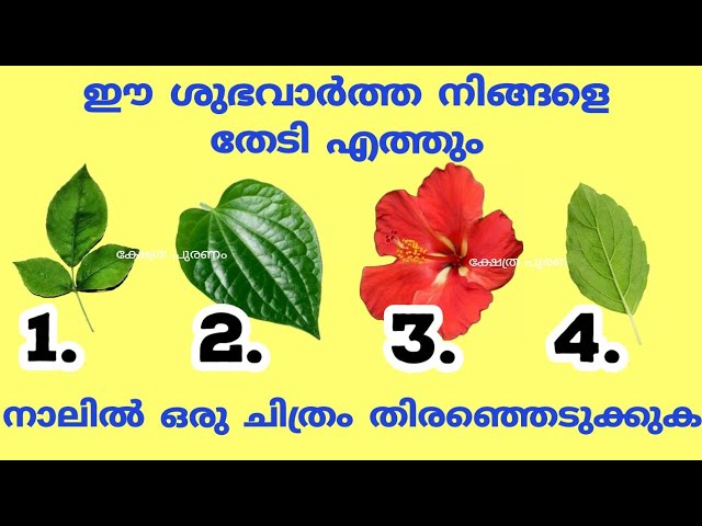 ഒട്ടും പ്രതീക്ഷിക്കാത്ത ഈ ആഗ്രഹം നടക്കാൻ പോകുന്നു.