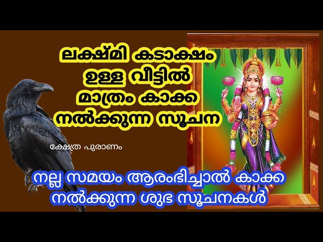 ലക്ഷ്മി കടാക്ഷം ഉള്ള വീട്ടിൽ മാത്രം കാക്ക നൽക്കുന്ന സൂചന