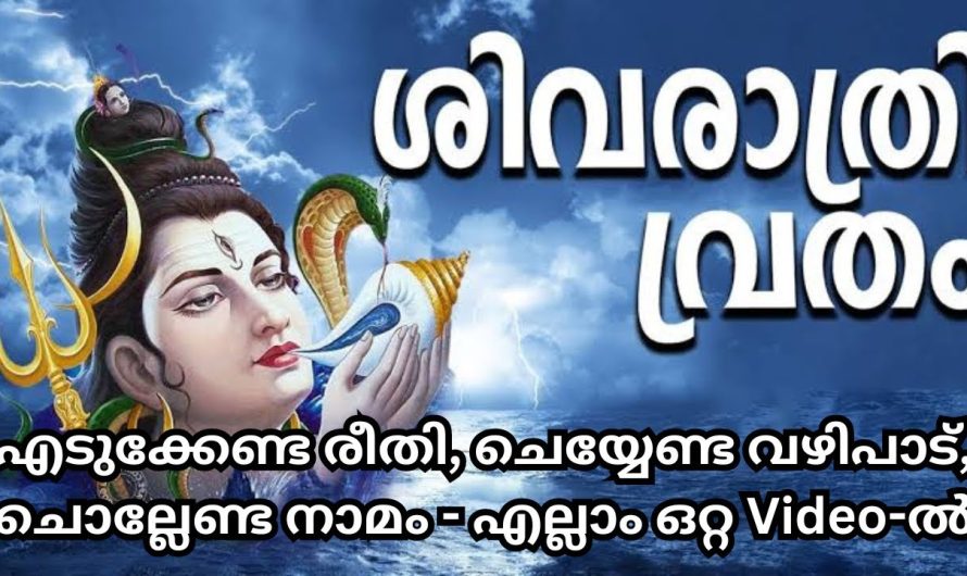 .ശിവരാത്രി വ്രതം 2024 – എങ്ങനെ എടുക്കാം? തലേ ദിവസം മറക്കാതെ ചെയ്യേണ്ട കാര്യങ്ങൾ