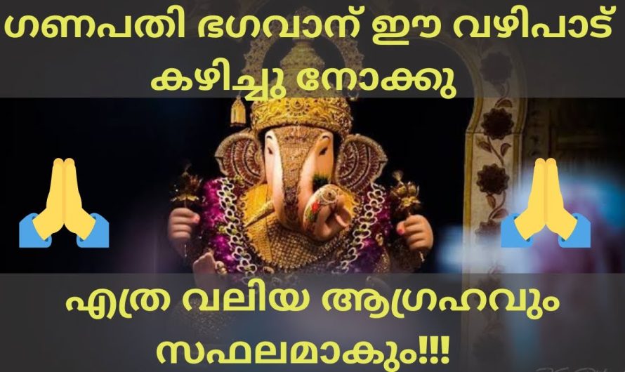 അത്ഭുതകരമായ ഗണേശ സ്നേഹം അനുഭവിച്ചറിയു!