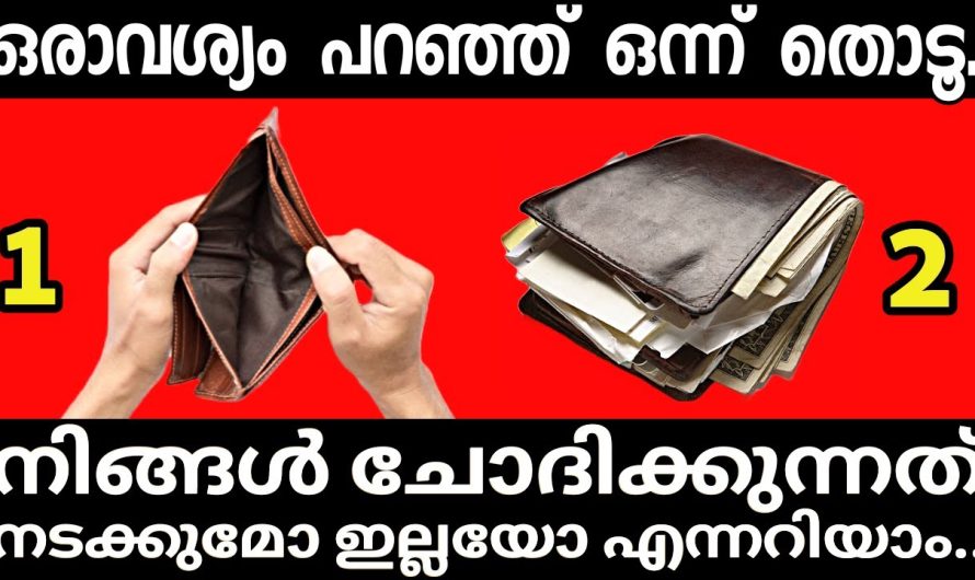 നിങ്ങൾ ആഗ്രഹിക്കുന്ന കാര്യം നടക്കുമോ എന്നറിയാൻ ഒരു ചിത്രം തിരഞ്ഞെടുക്കൂ..