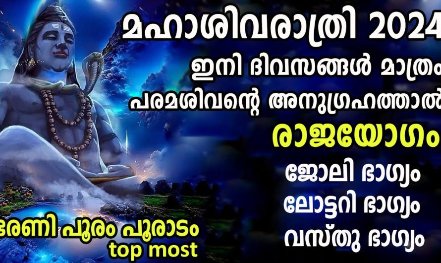 മഹാശിവരാത്രി,18 ൽ 6 നാളുകാർക്ക് രാജയോഗം കൈവരും,ഭരണി പൂരം പൂരാടം