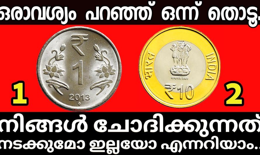 നിങ്ങൾ ചോദിക്കുന്നത് നടക്കുമോ ഇല്ലയോ എന്നറിയാം…രണ്ടിൽ ഒന്ന് തൊടു…