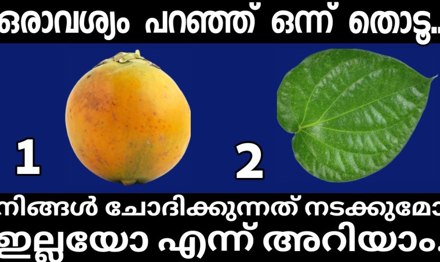 നിങ്ങൾ ആഗ്രഹിക്കുന്ന കാര്യം നടക്കുമോ എന്നറിയാൻ ഒരു ചിത്രം തിരഞ്ഞെടുക്കൂ..